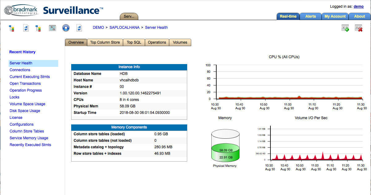 Surveillance for HANA Server Heath screen