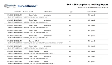 Screenshot of Surveillance Audit Report